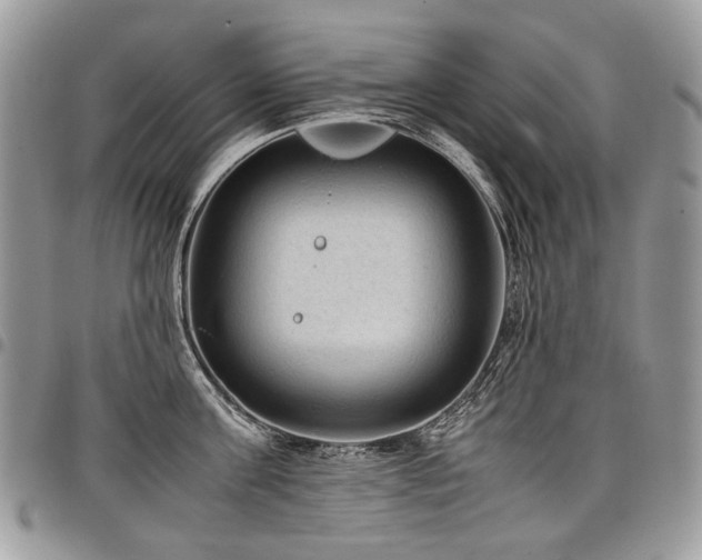 X0000098020811200803281333