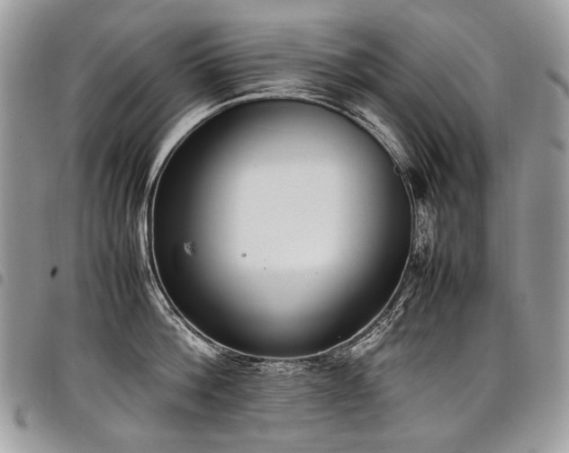 X0000098020812200803281333