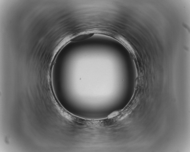 X0000098020813200803281333