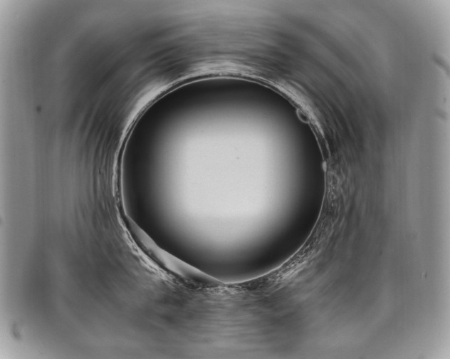 X0000098020815200803281333