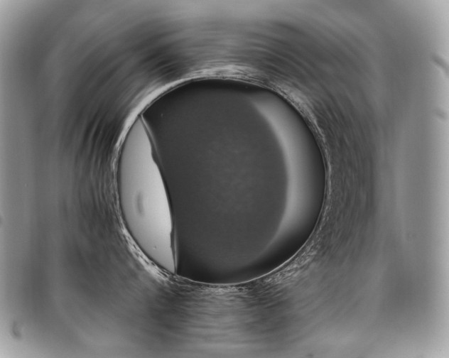 X0000098020816200803281333