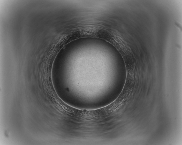 X0000098020817200803281332