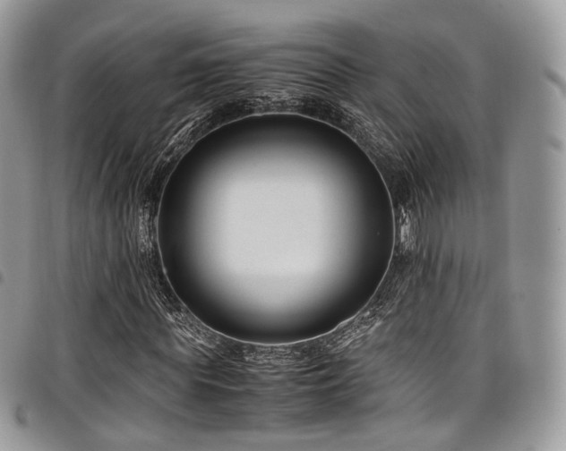 X0000098020819200803281332