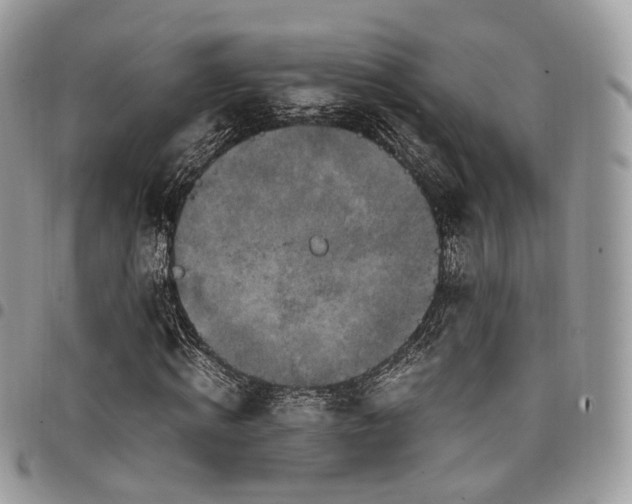 X0000098020820200803281332