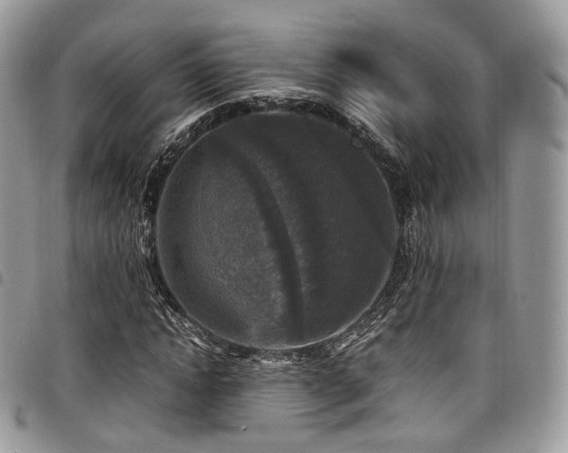 X0000098020822200803281332