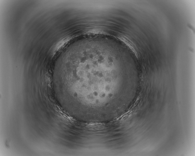 X0000098020823200803281332