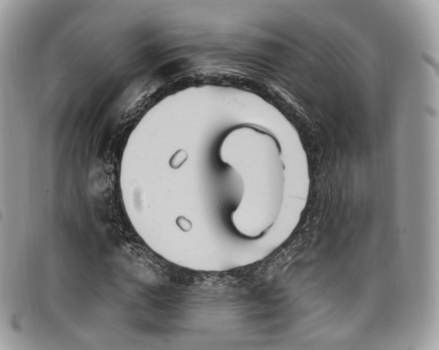 X0000098020824200803281332