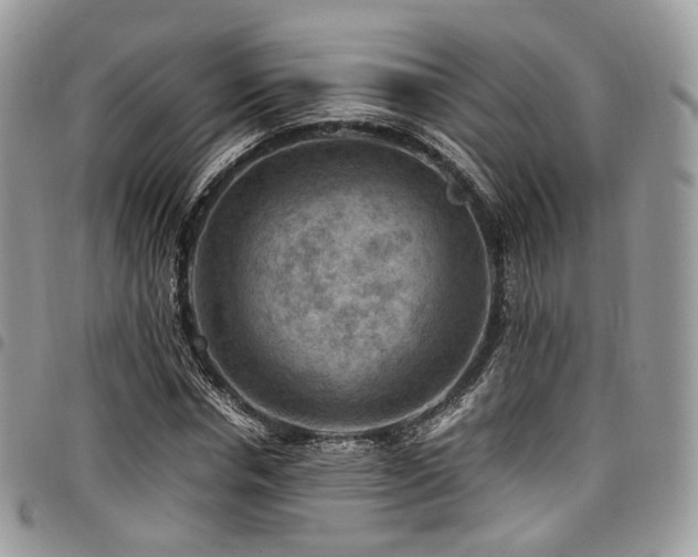 X0000098020826200803281332