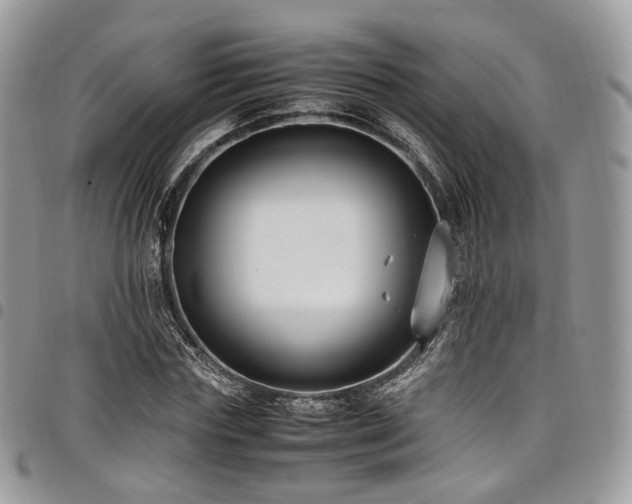 X0000098020827200803281332