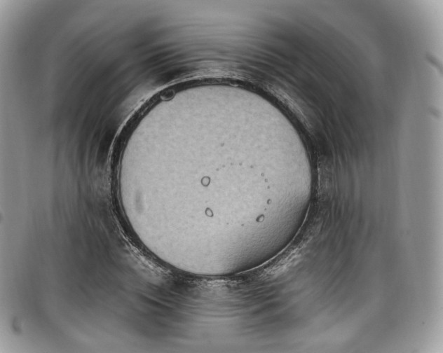 X0000098020828200803281332