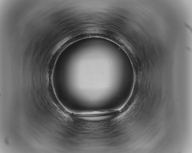 X0000098020829200803281332