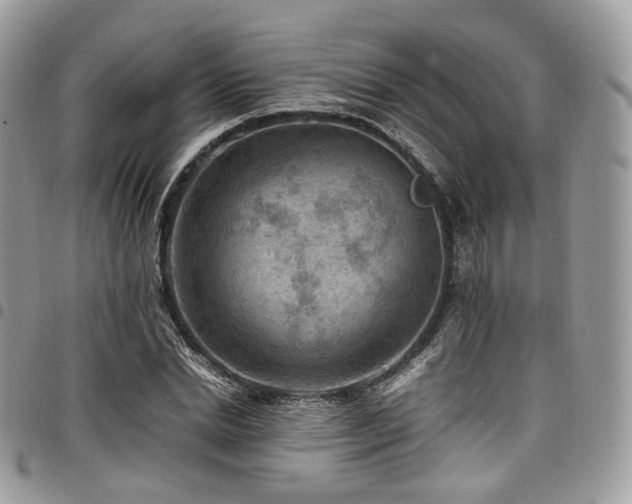 X0000098020830200803281332