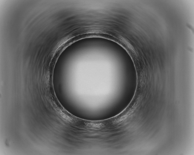 X0000098020831200803281332