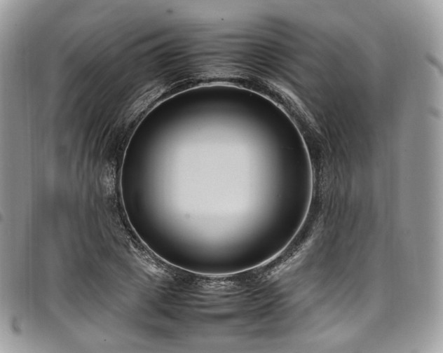 X0000098020833200803281332