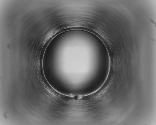 X0000098020834200803281332