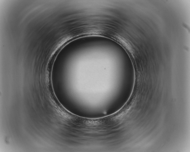 X0000098020835200803281332