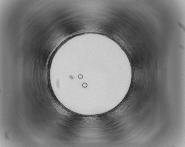 X0000098020836200803281332