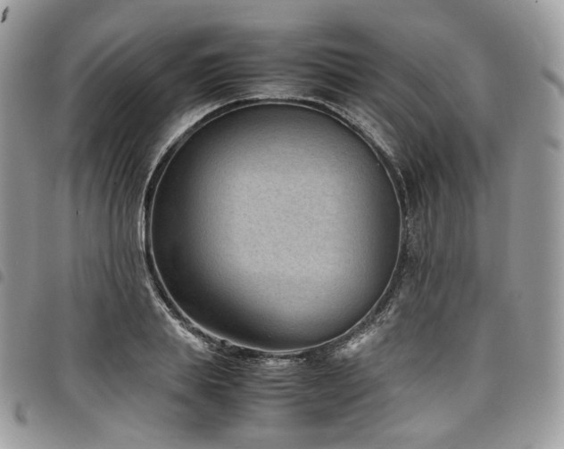 X0000098020839200803281332