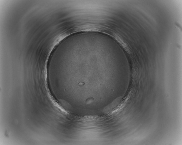 X0000098020840200803281332