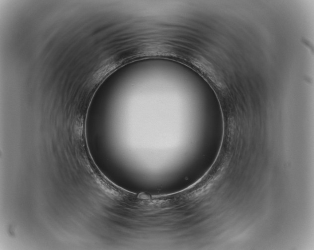 X0000098020841200803281332