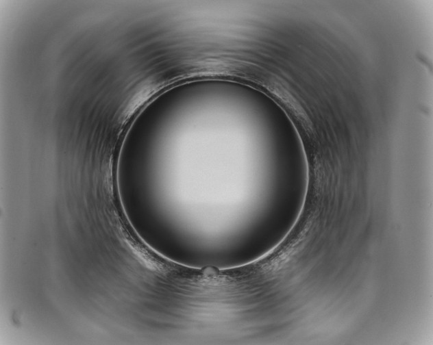 X0000098020842200803281332