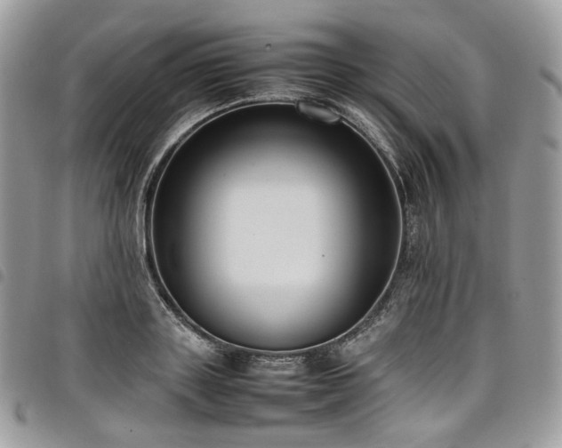 X0000098020843200803281332