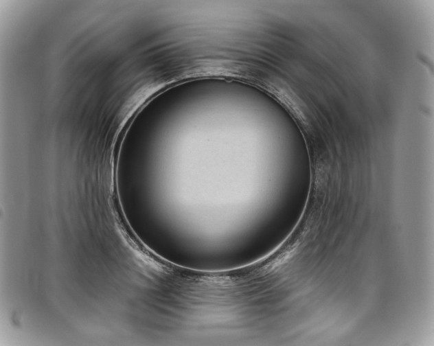 X0000098020844200803281332