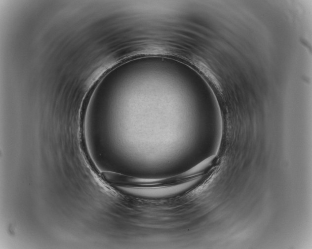 X0000098020845200803281333