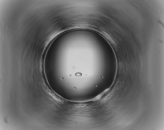 X0000098020846200803281333