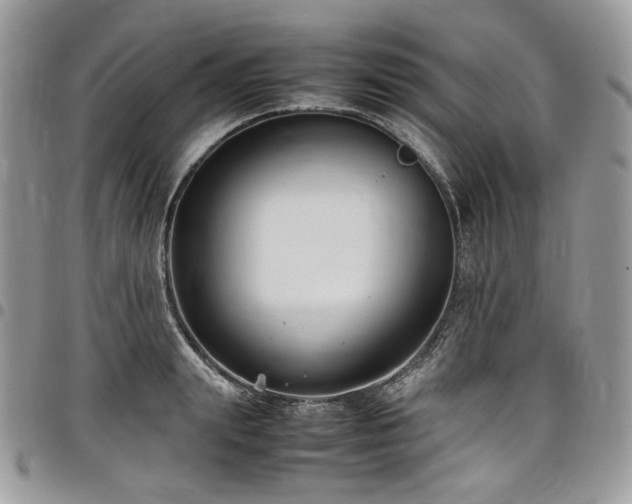 X0000098020847200803281333