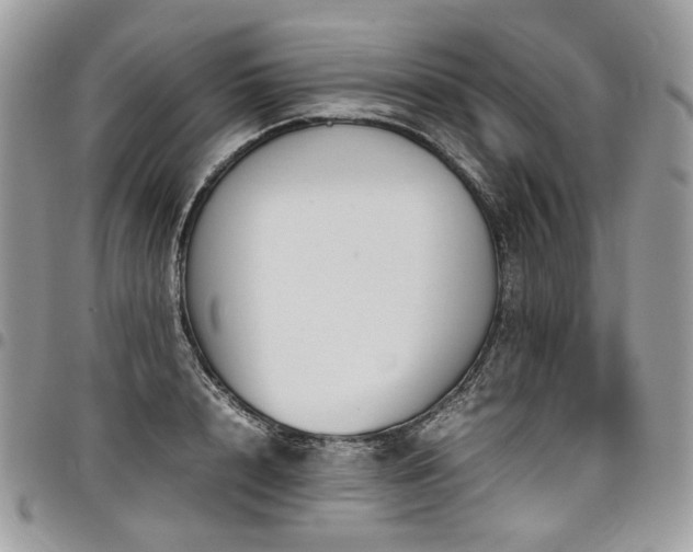 X0000098020848200803281333