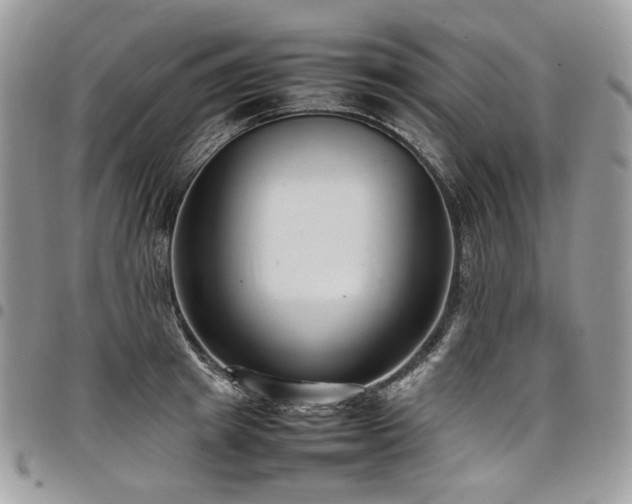 X0000098020849200803281333