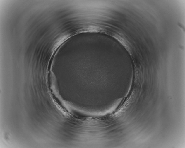 X0000098020850200803281333