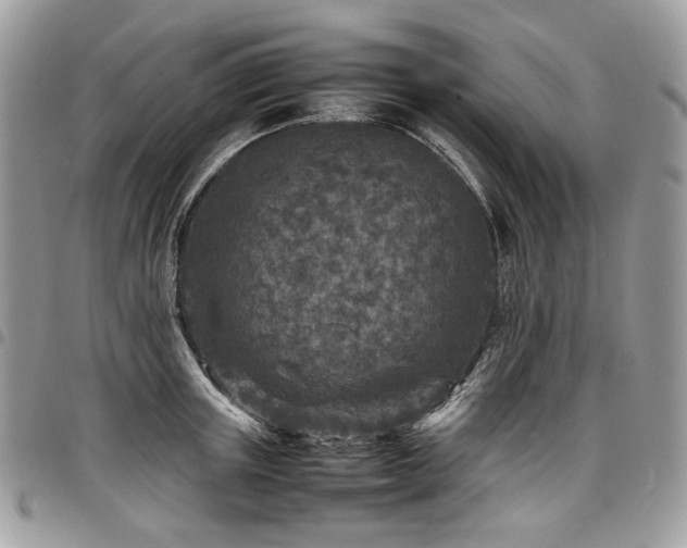 X0000098020851200803281333