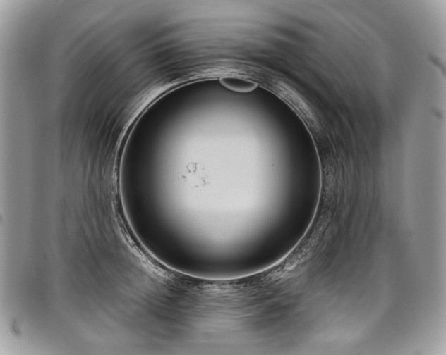 X0000098020852200803281333