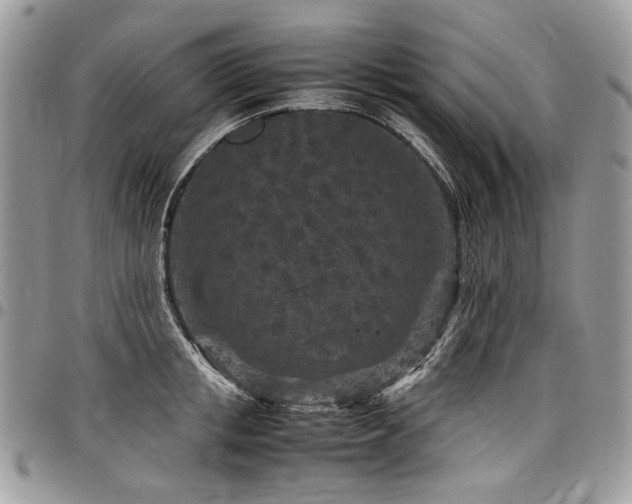 X0000098020853200803281333