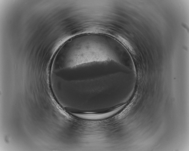 X0000098020854200803281333