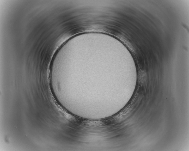 X0000098020856200803281333