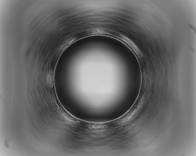 X0000098020857200803281333