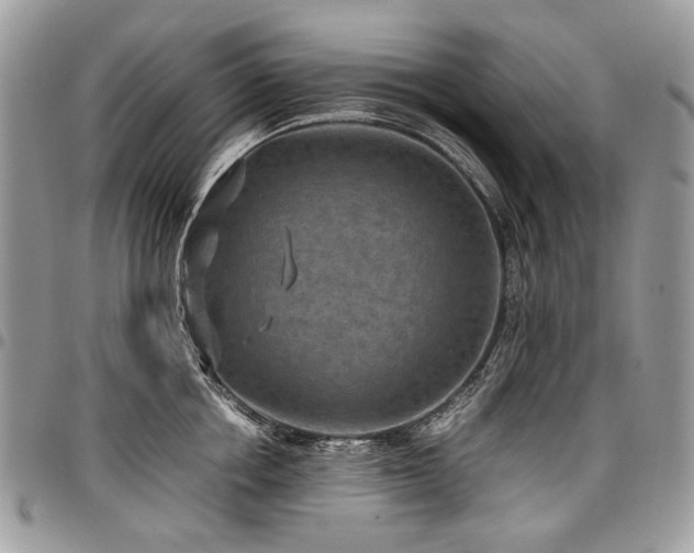 X0000098020858200803281333