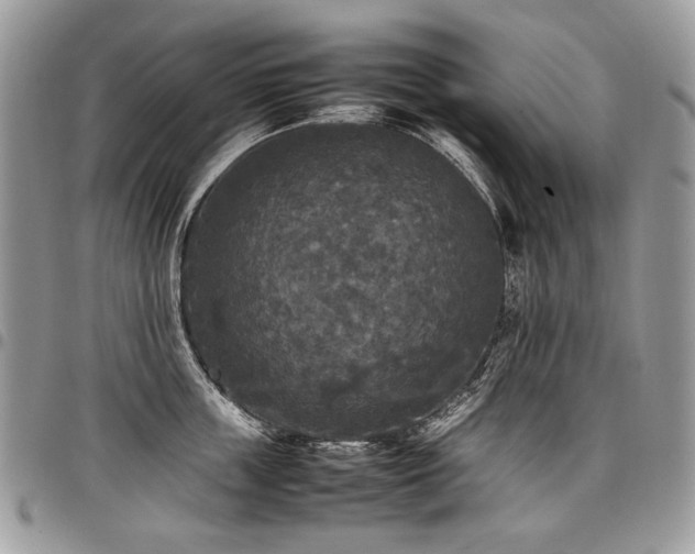 X0000098020859200803281333