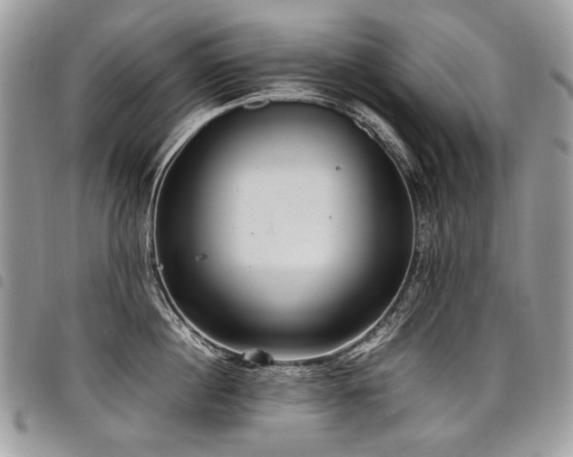 X0000098020860200803281333