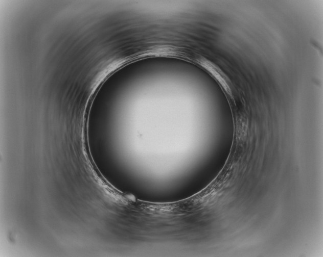 X0000098020861200803281333