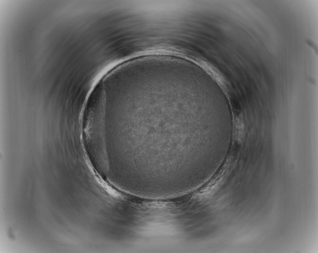 X0000098020862200803281333