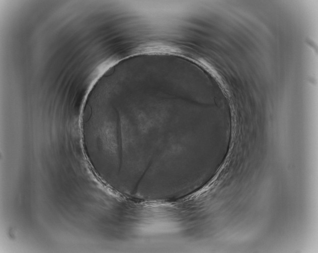 X0000098020864200803281333