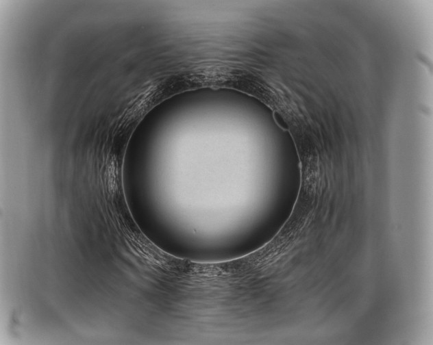 X0000098020866200803281332