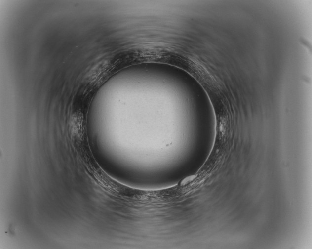 X0000098020867200803281332