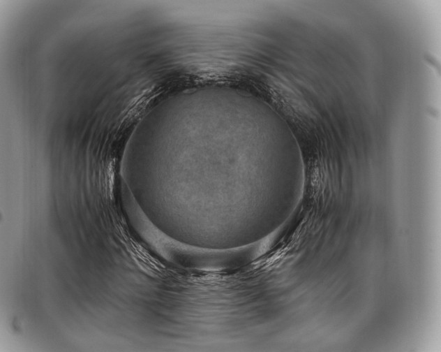 X0000098020868200803281332