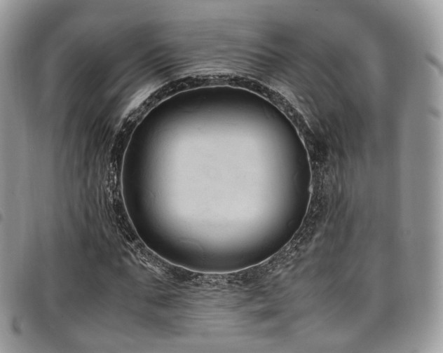 X0000098020871200803281332