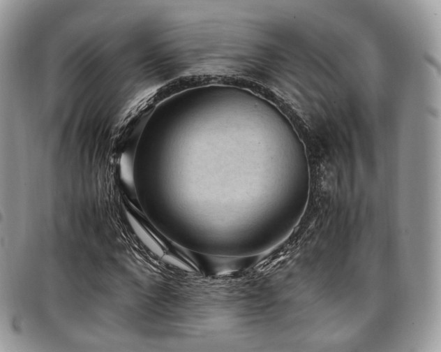 X0000098020872200803281332